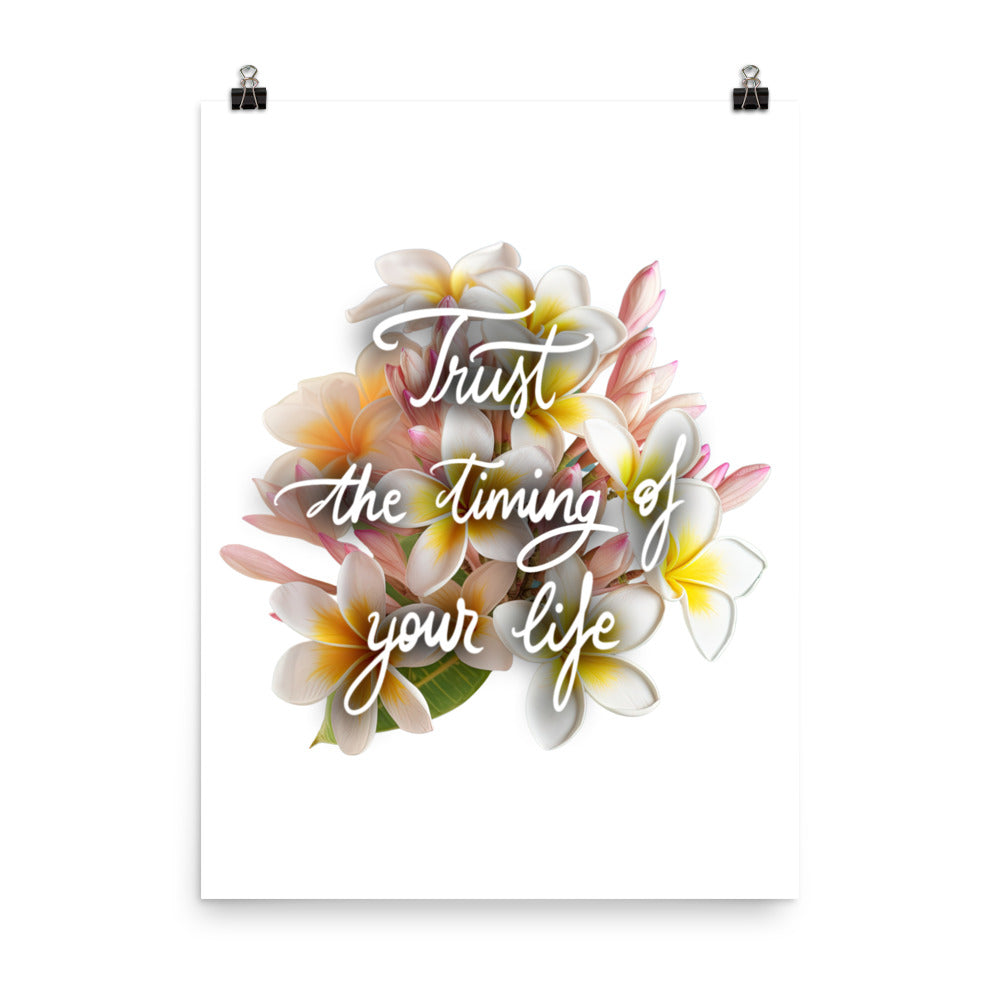 Poster "Trust the timing"